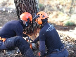 CURSO MOTOSIERRA LOUREIRO ARBORICULTURA VILAGARCIA