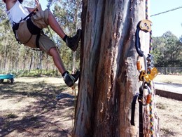 Curso Poda Altura 2 Loureiro Arboricultura loureiroarboricultura.com