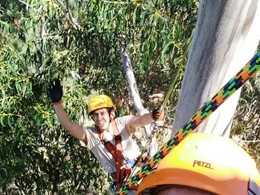 Curso Poda Altura Árboles