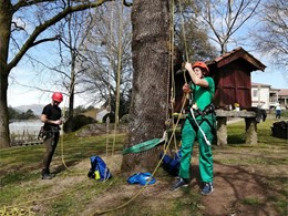 Curso poda en altura AG2 loureiroarboricultura.com