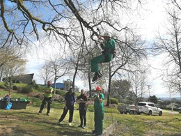 Curso poda en altura AG4 loureiroarboricultura.com