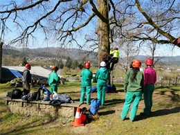 Curso poda en altura AG