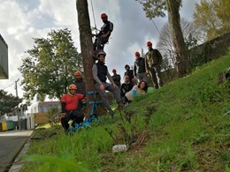 Curso traballos en altura en árbores CR1 loureiroarboricultura.com