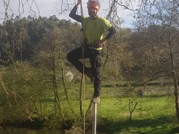 Curso traballos en altura en árbores CR3 loureiroarboricultura.com