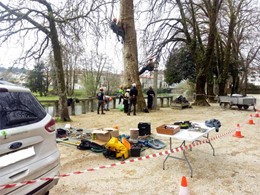 Curso traballos en altura en árbores