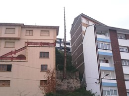 Durante, Tala en altura árboles ASTURIAS LOUREIRO ARBORICULTURA