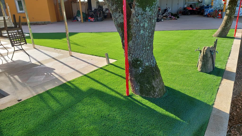 Algunos trabajos de Loureiro Arboricultura Galicia