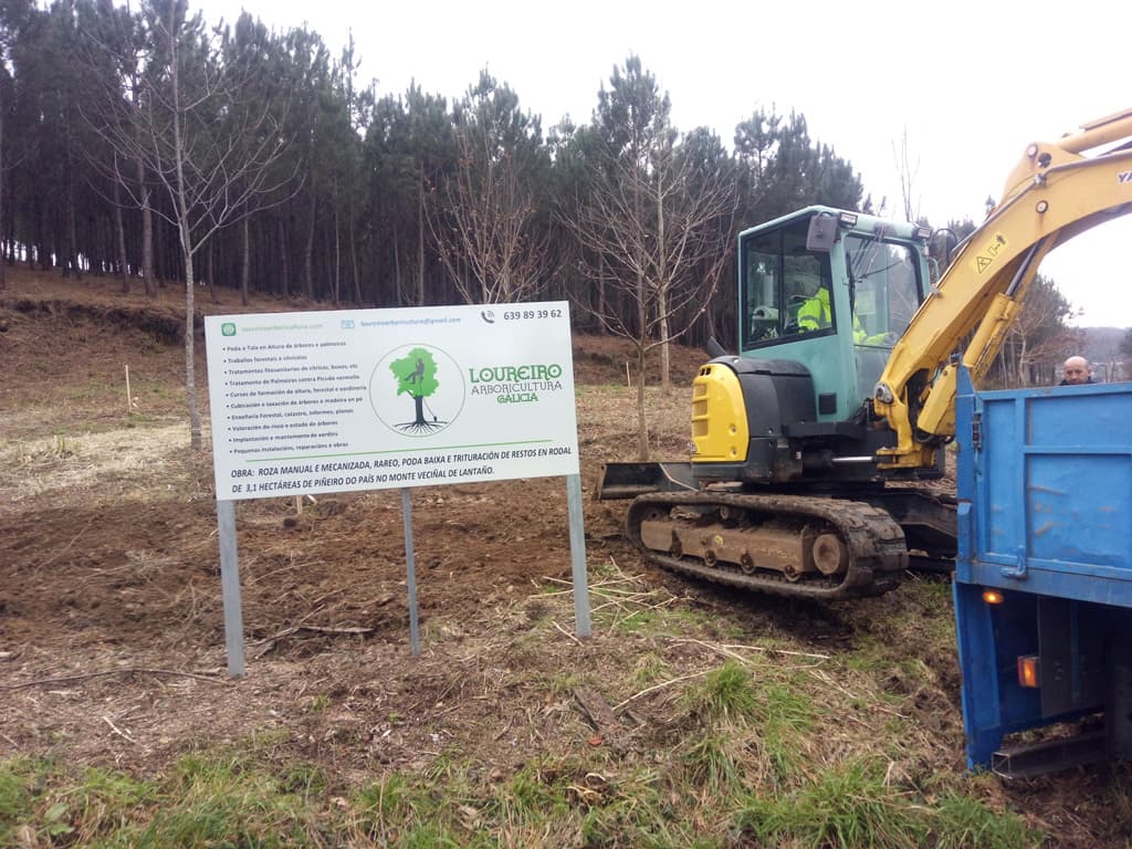 Algunos trabajos de Loureiro Arboricultura Galicia