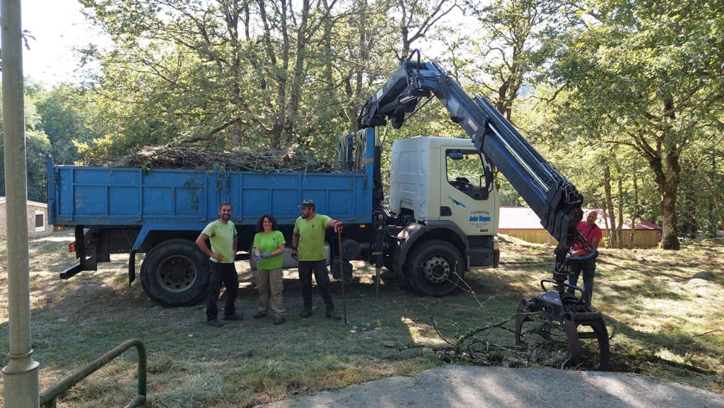 Algunos trabajos de Loureiro Arboricultura Galicia