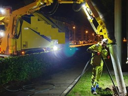 Instalación de tubería baixo sistema radical loureiroarboricultura.com