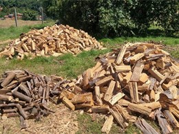 Leña feita. Tala en altura controlada LOUREIRO ARBORICULTURA GALICIA