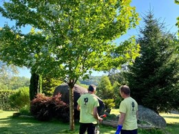 LOUREIRO ARBORICULTURA GALICIA loureiroarboricultura.com