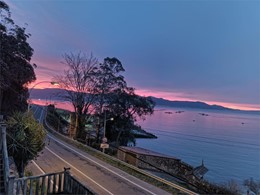 LOUREIRO ARBORICULTURA GALICIA