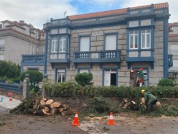 LOUREIRO ARBORICULTURA GALICIA