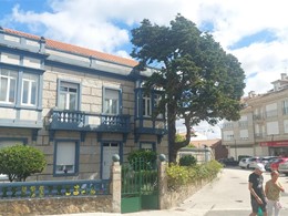 LOUREIRO ARBORICULTURA GALICIA