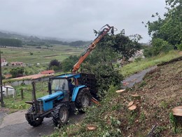 LOUREIRO ARBORICULTURA GALICIA