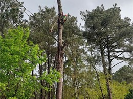 LOUREIRO ARBORICULTURA GALICIA