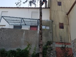 LOUREIRO ARBORICULTURA GALICIA