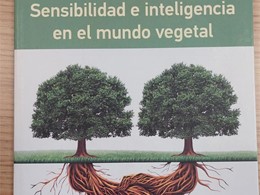 LOUREIRO ARBORICULTURA GALICIA