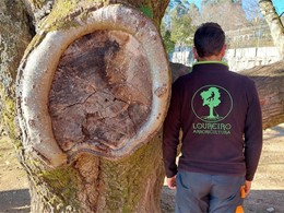 LOUREIRO ARBORICULTURA GALICIA