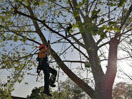 loureiroarboricultura.com