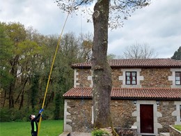 loureiroarboricultura.com