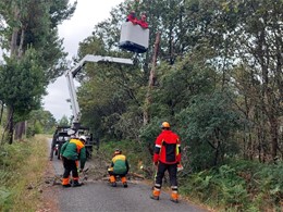 loureiroarboricultura.com