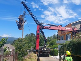 Tala en altura controlada LOUREIRO ARBORICULTURA GALICIA