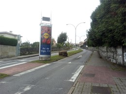 Tala en altura de palmeira en Pontevedra LOUREIRO ARBORICULTURA GALICIA