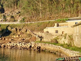 Tala en altura eucaliptos LOUREIRO ARBORICULTURA GALICIA