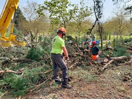 Tala en altura LOUREIRO ARBORICULTURA GALICIA