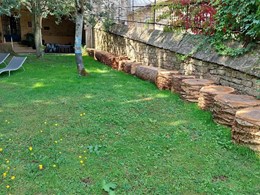 Tala en altura palmeira LOUREIRO ARBORICULTURA GALICIA