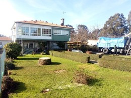 Tala palmeiras sada despois LOUREIRO ARBORICULTURA GALICIA