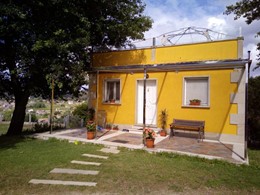 Terraza entre jardín y casa LOUREIRO ARBORICULTURA