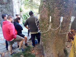 Tomografía para valoración de árbores LOUREIRO ARBORICULTURA GALICIA